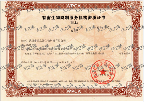有害生物防制服務(wù)機構資質(zhì)證書(shū)-A級